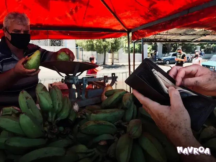 Energy-Efficient Home Improvements