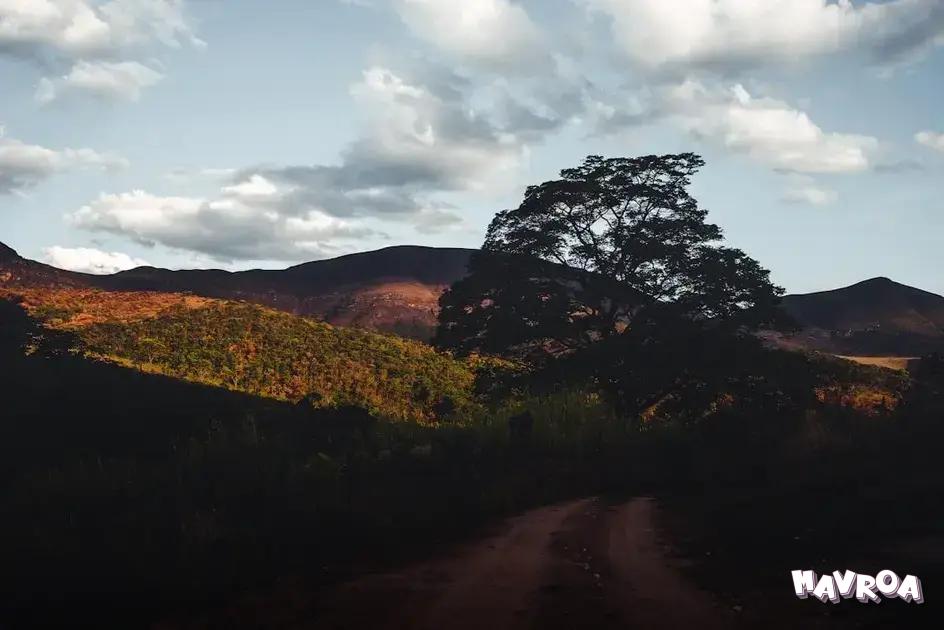 Monitor Progress and Adjust as Needed