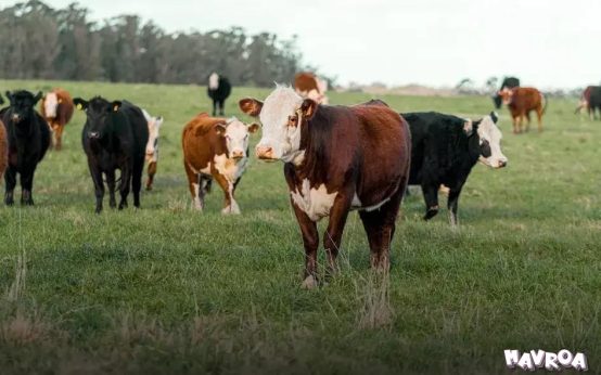 Tips for Reducing Your Housing Expenses: Practical Advice