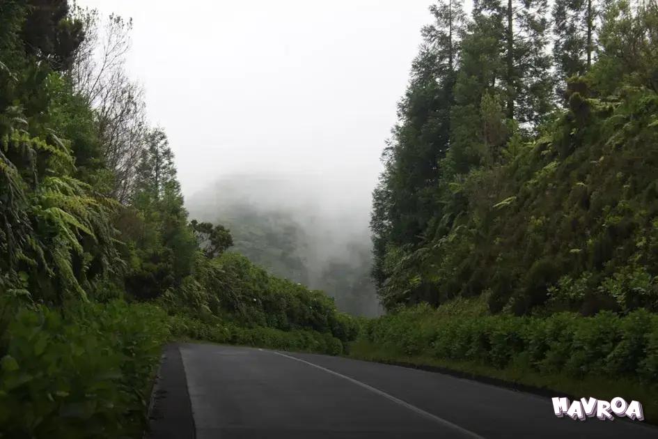 Reducing Financial Risk