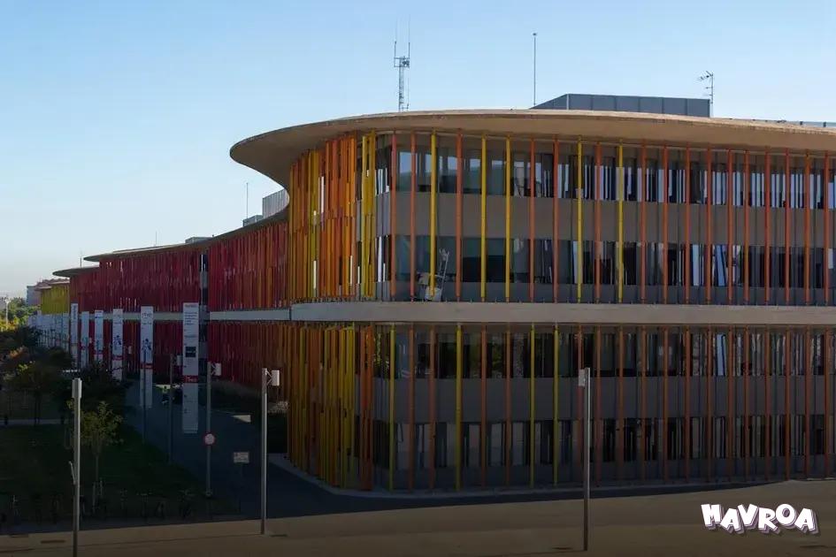 Seeking Professional Advice