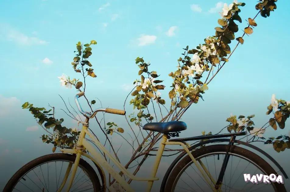 Utilize Any Available Benefits Utilize Any Available Benefits